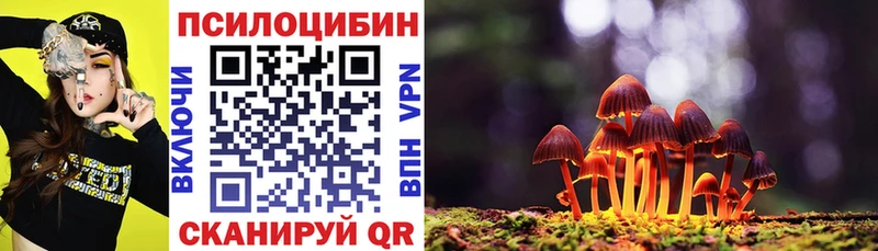 Псилоцибиновые грибы ЛСД  купить наркотик  mega ССЫЛКА  Зеленоградск 